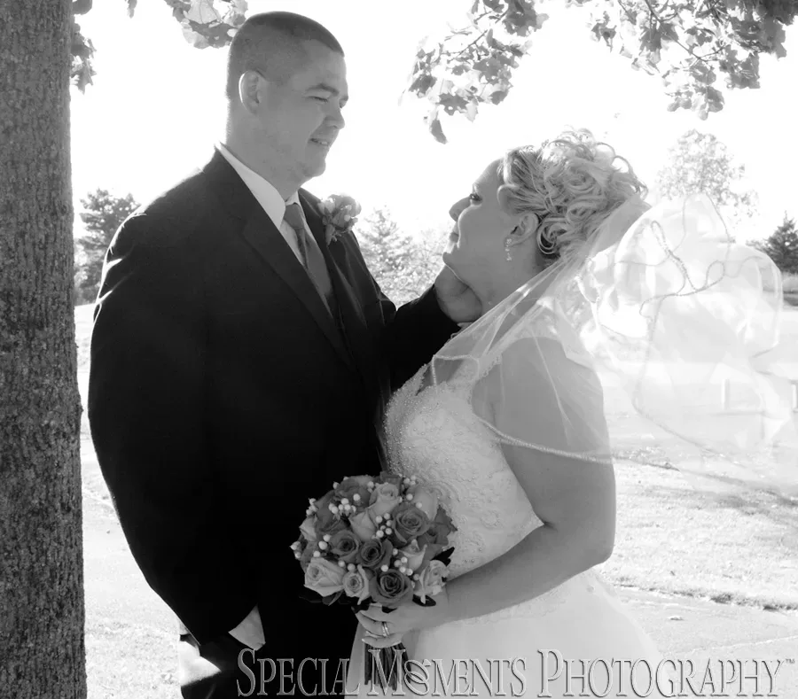 Woodlands Golf Course Wayne MI wedding photograph