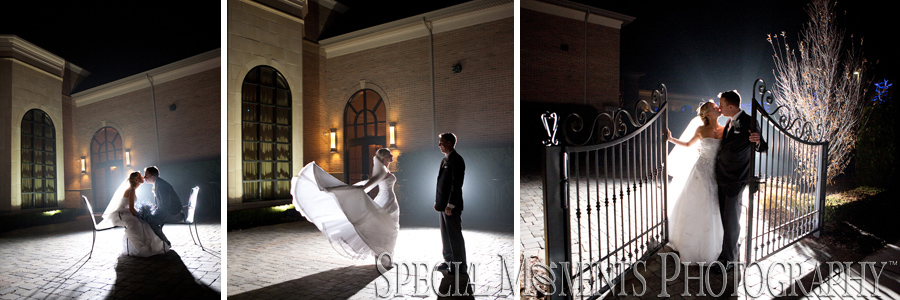 The Palazzo Grande Shelby Twp. MI wedding photograph