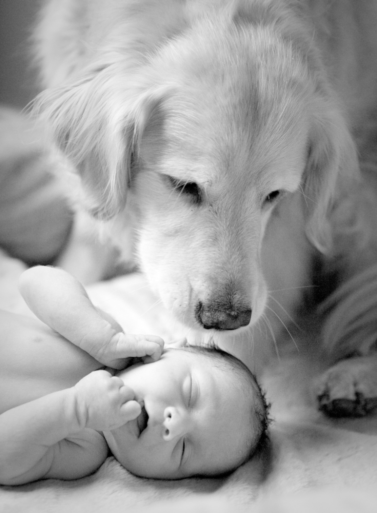 Jackie & Adrian's Newborn Photos from the wedding photograph