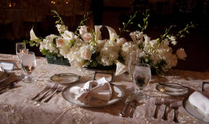 Monique & James at Colony Club Detroit MI wedding photograph