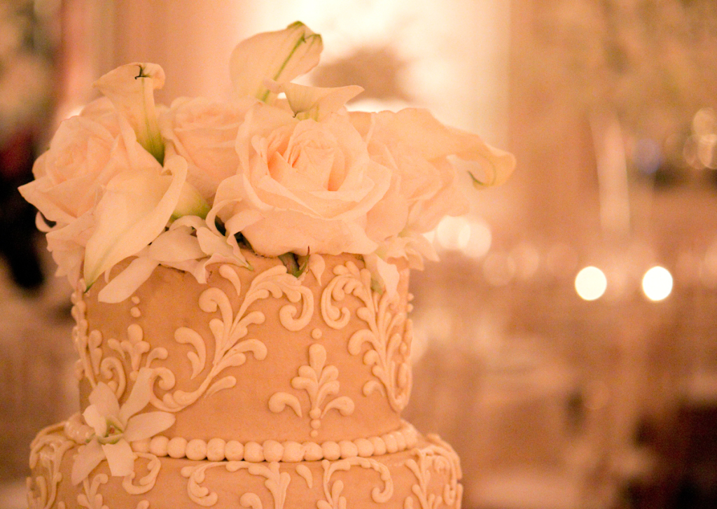 Monique & James at Colony Club Detroit MI wedding photograph