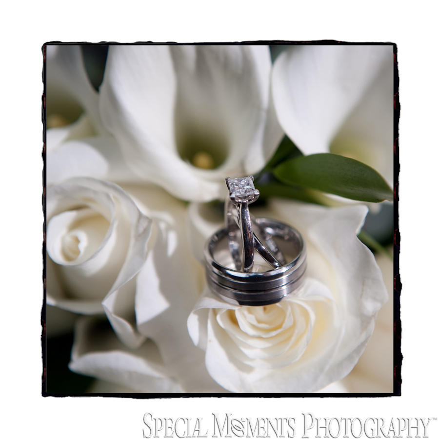 St. Michael Lutheran Canton MI wedding photograph