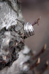 Nasir & Mark at The Whitney Restaurant Detroit LGBTQ wedding photograph