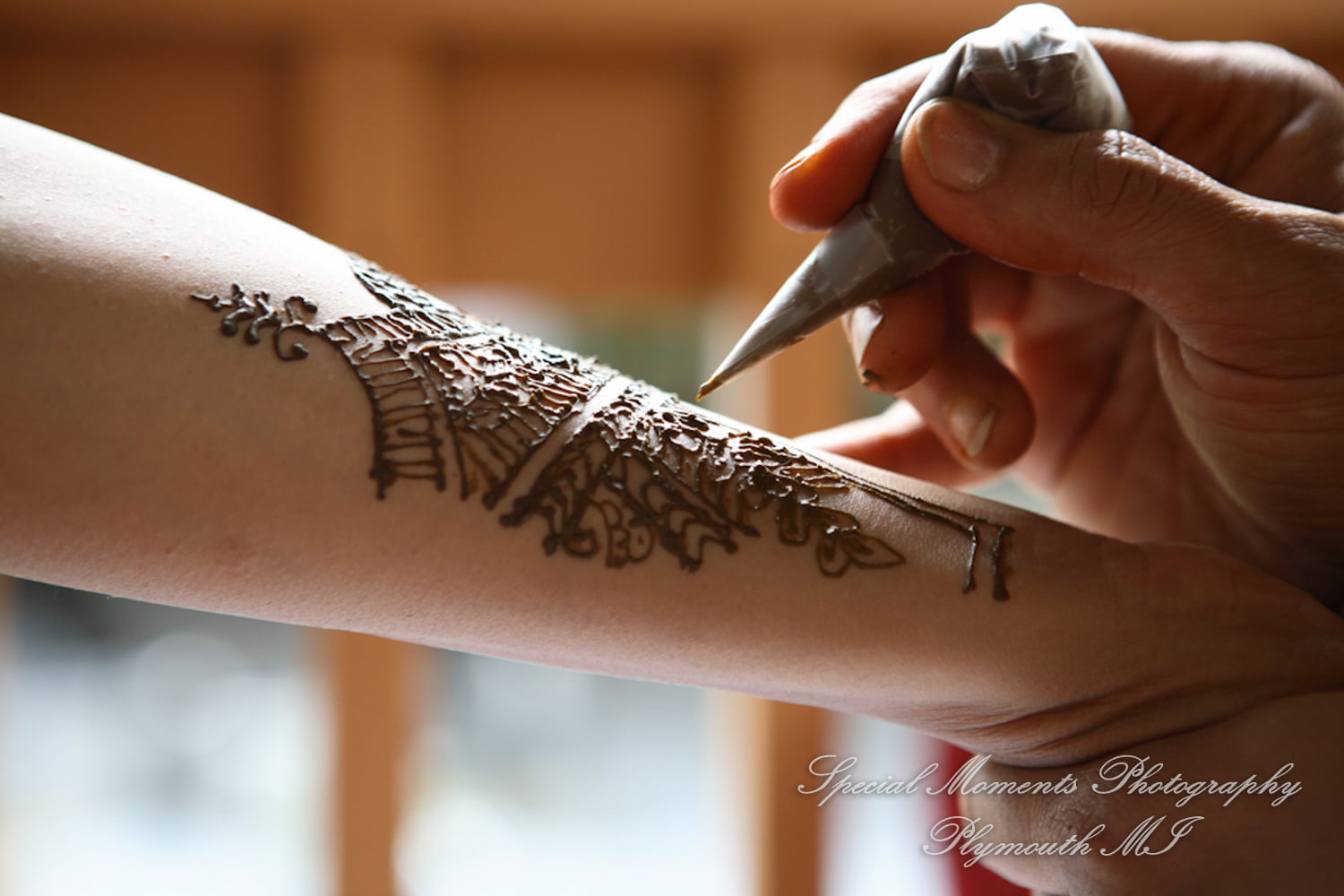 Mehndi ceremony Port Huron MI photograph