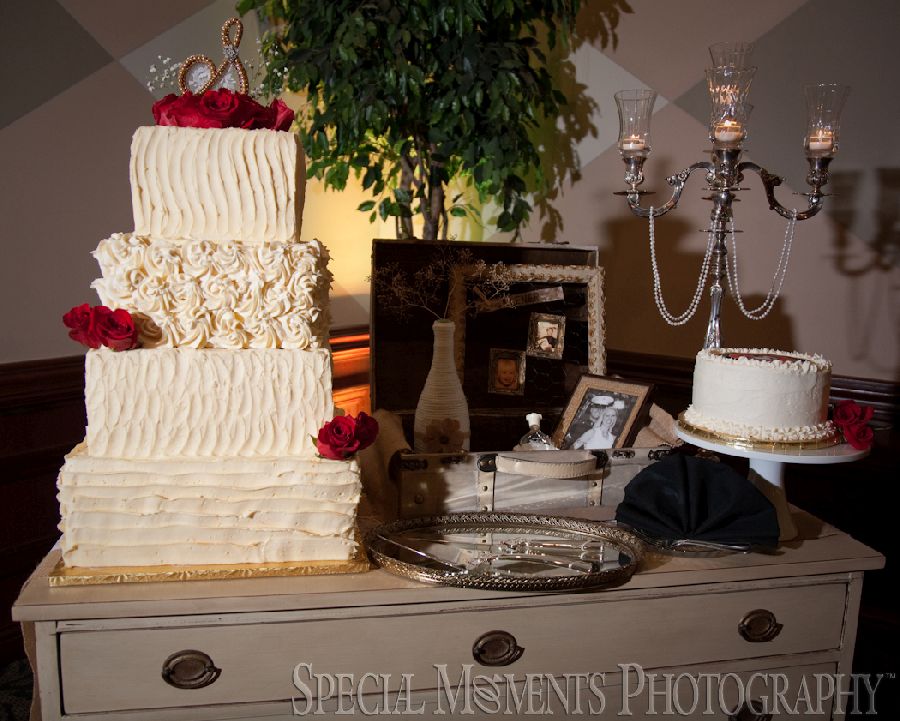 St. Mary Cultural Center Livonia MI wedding photograph