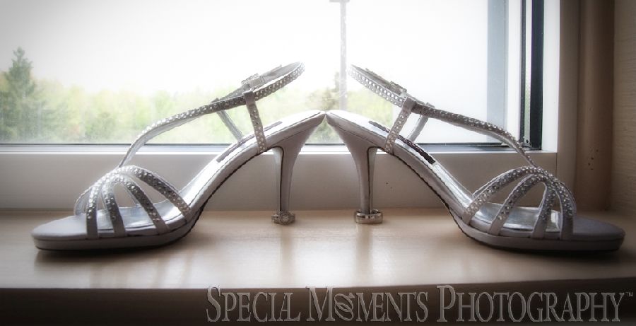 Christol & Alton at Weber's Inn Ann Arbor MI wedding photograph