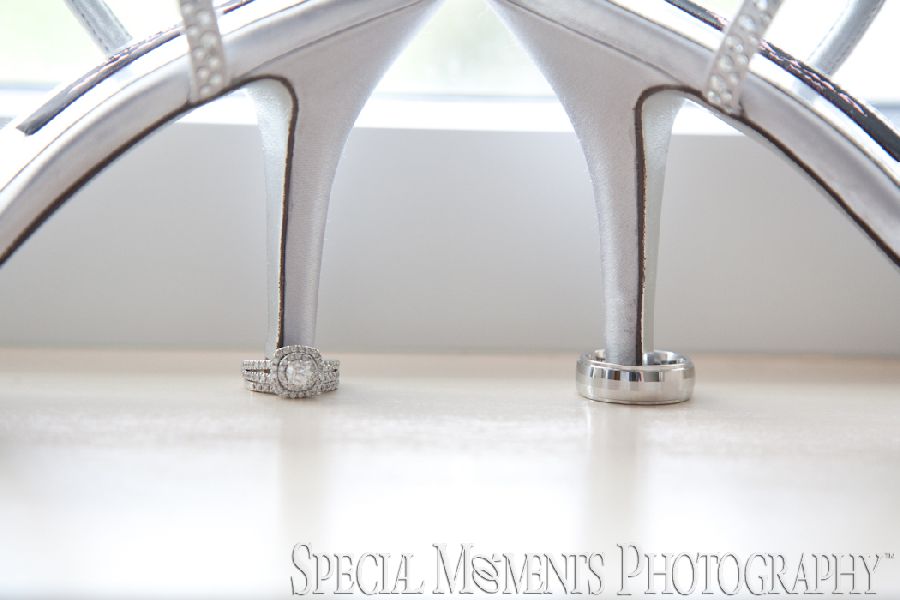 Christol & Alton at Weber's Inn Ann Arbor MI wedding photograph