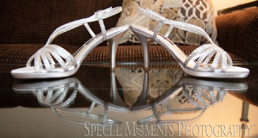 Christol & Alton at Weber's Inn Ann Arbor MI wedding photograph