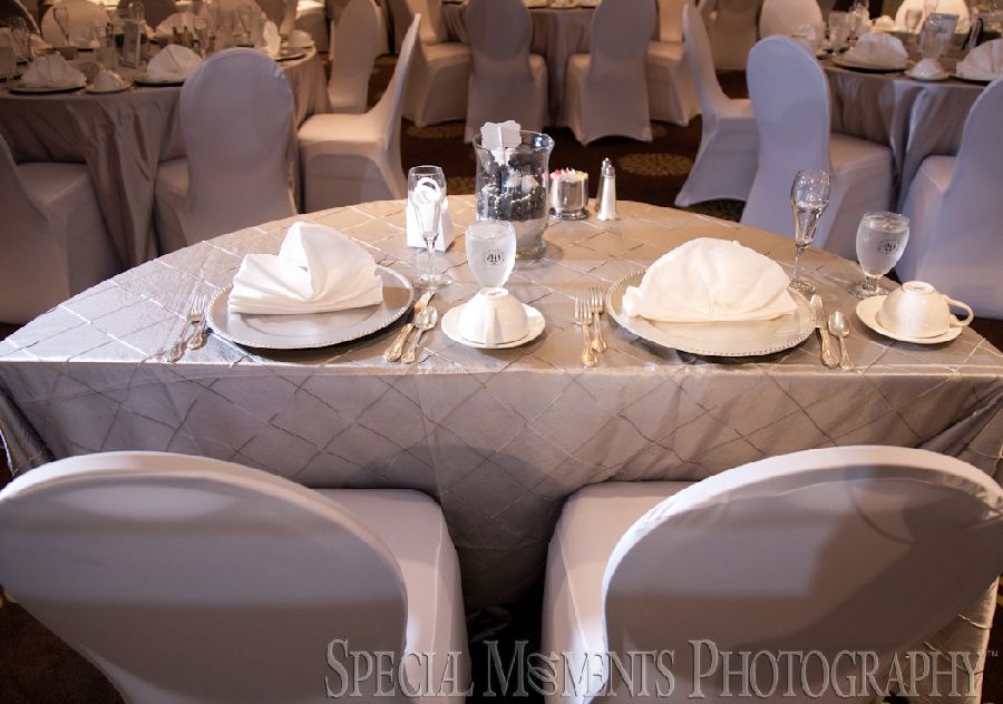 Christol & Alton at Weber's Inn Ann Arbor MI wedding photograph