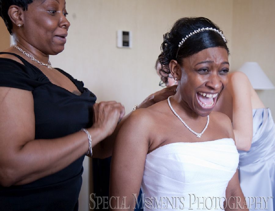 Christol & Alton at Weber's Inn Ann Arbor MI wedding photograph