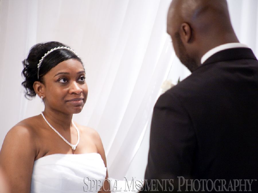 Christol & Alton at Weber's Inn Ann Arbor MI wedding photograph