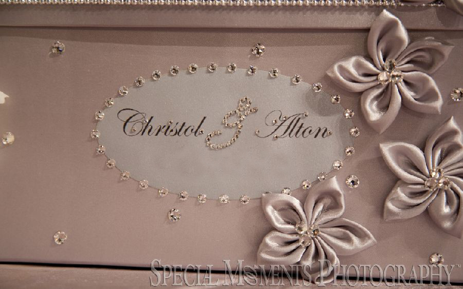 Christol & Alton at Weber's Inn Ann Arbor MI wedding photograph