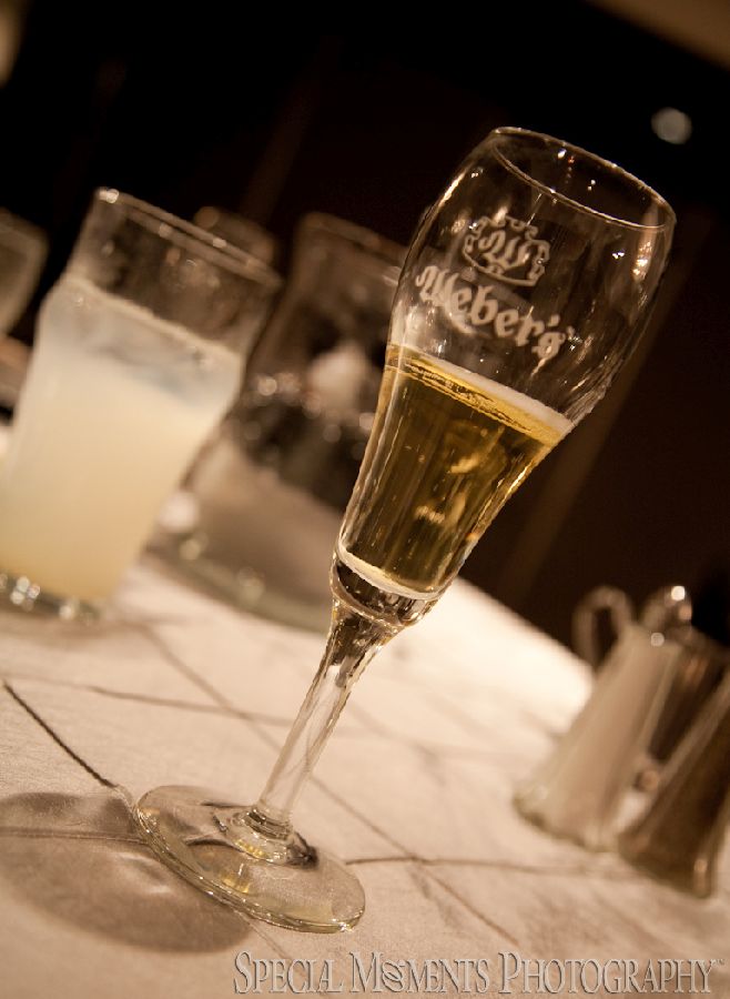 Christol & Alton at Weber's Inn Ann Arbor MI wedding photograph