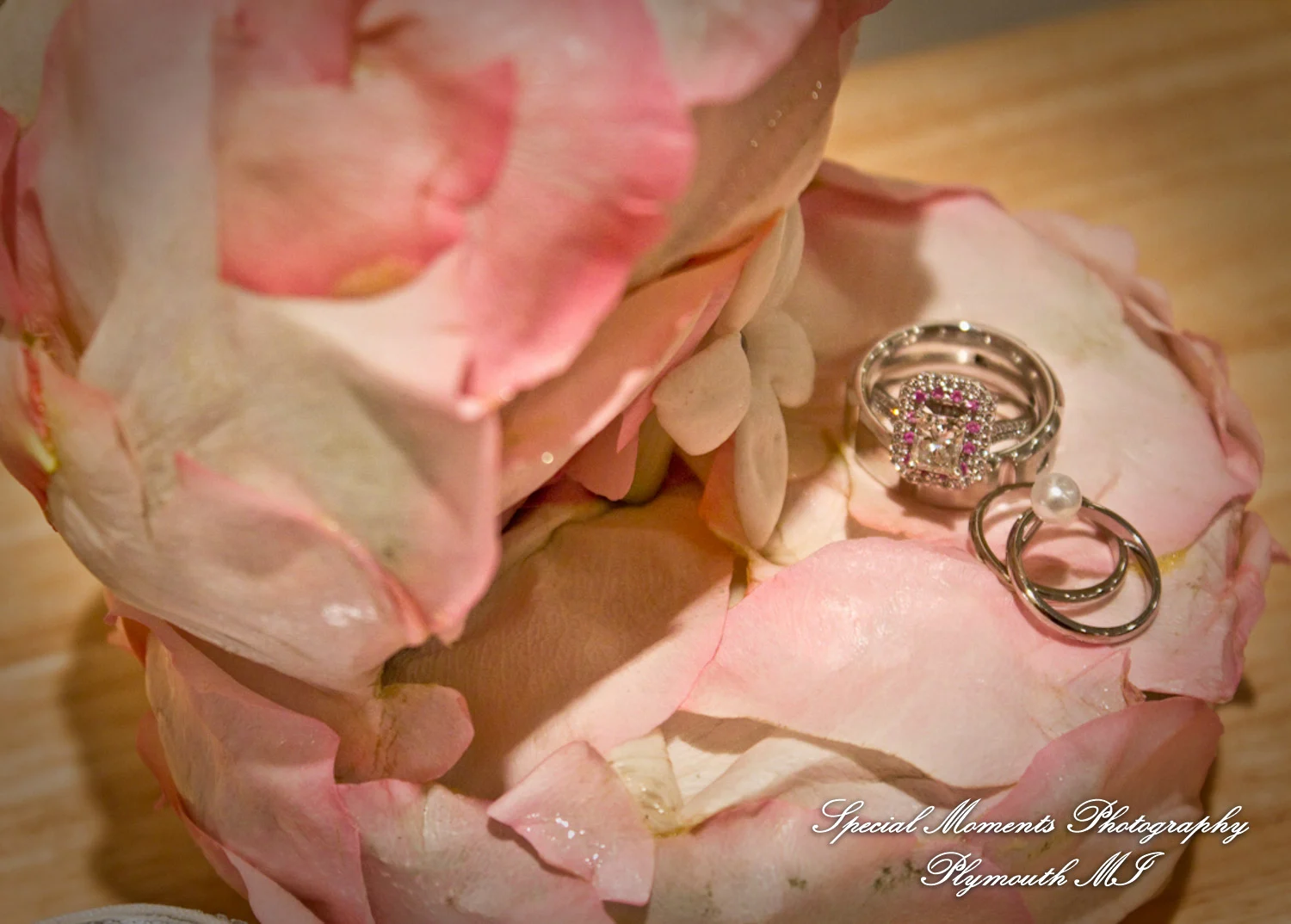 Holy Spirit Roman Catholic Brighton MI wedding photograph