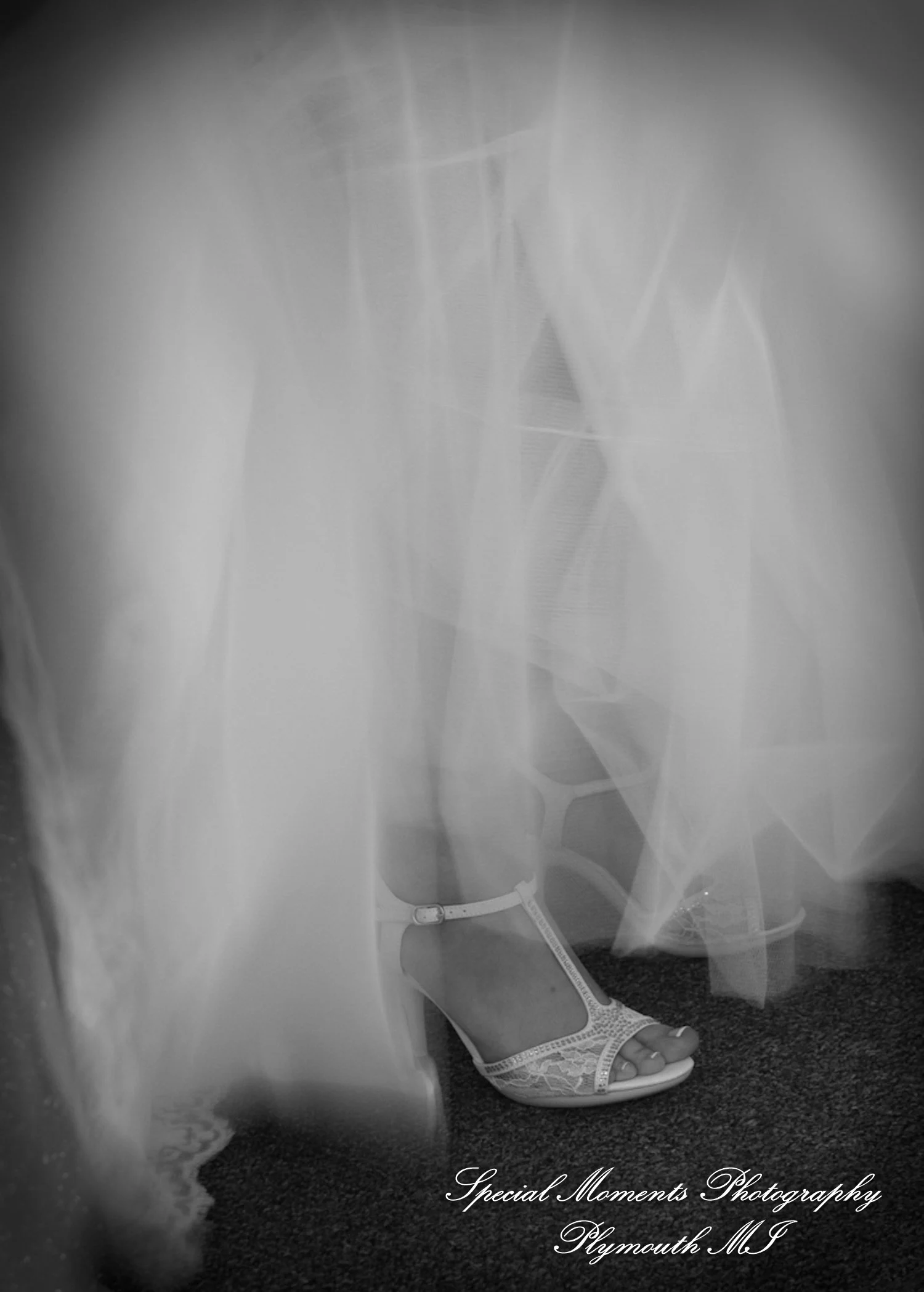 Holy Spirit Roman Catholic Brighton MI wedding photograph