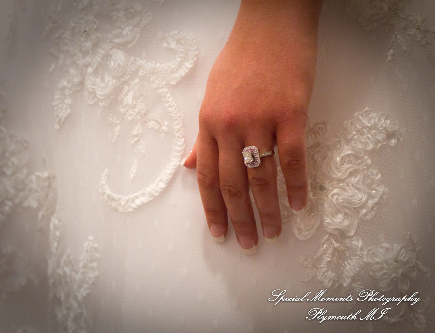 Holy Spirit Roman Catholic Brighton MI wedding photograph