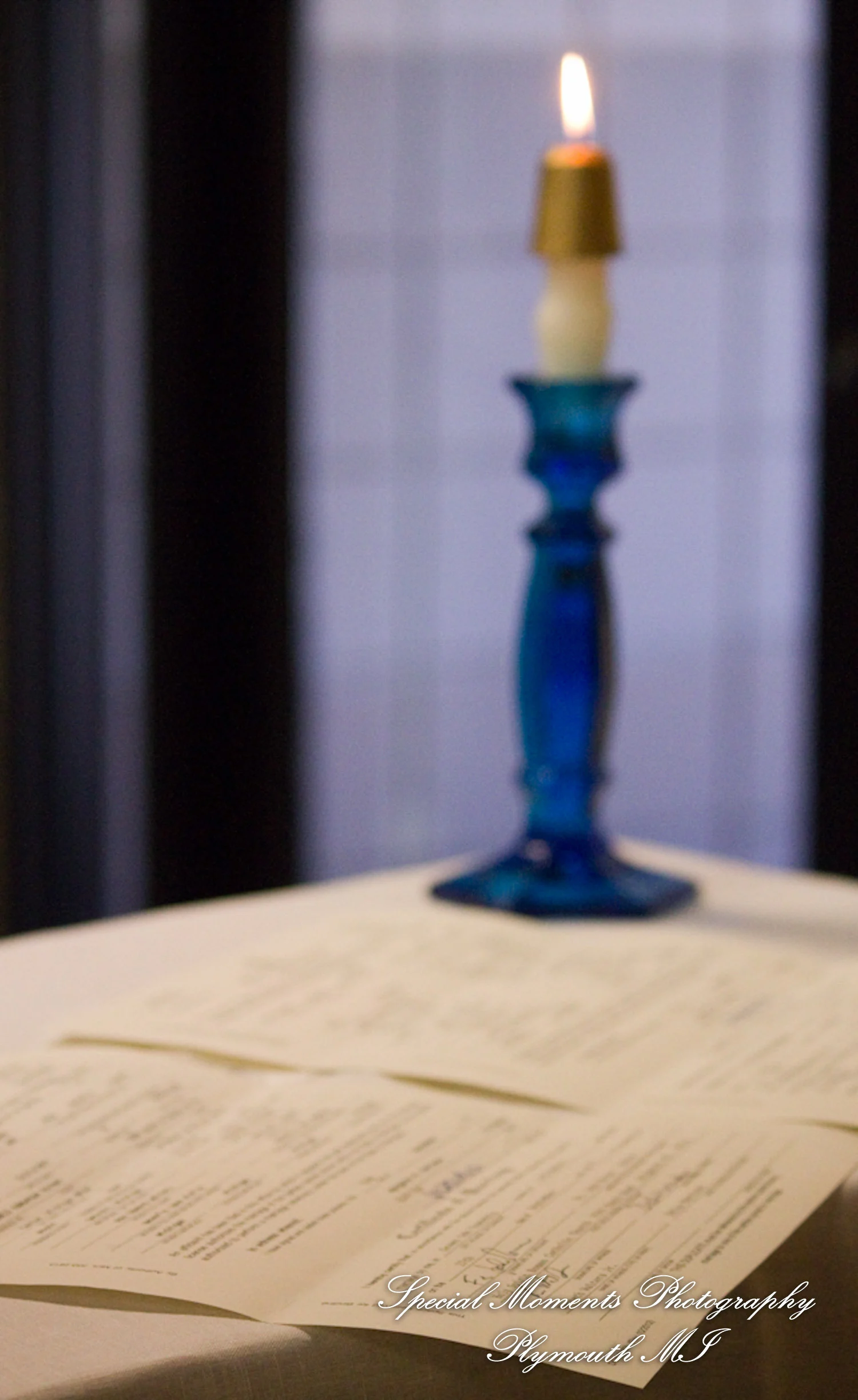 Holy Spirit Roman Catholic Brighton MI wedding photograph