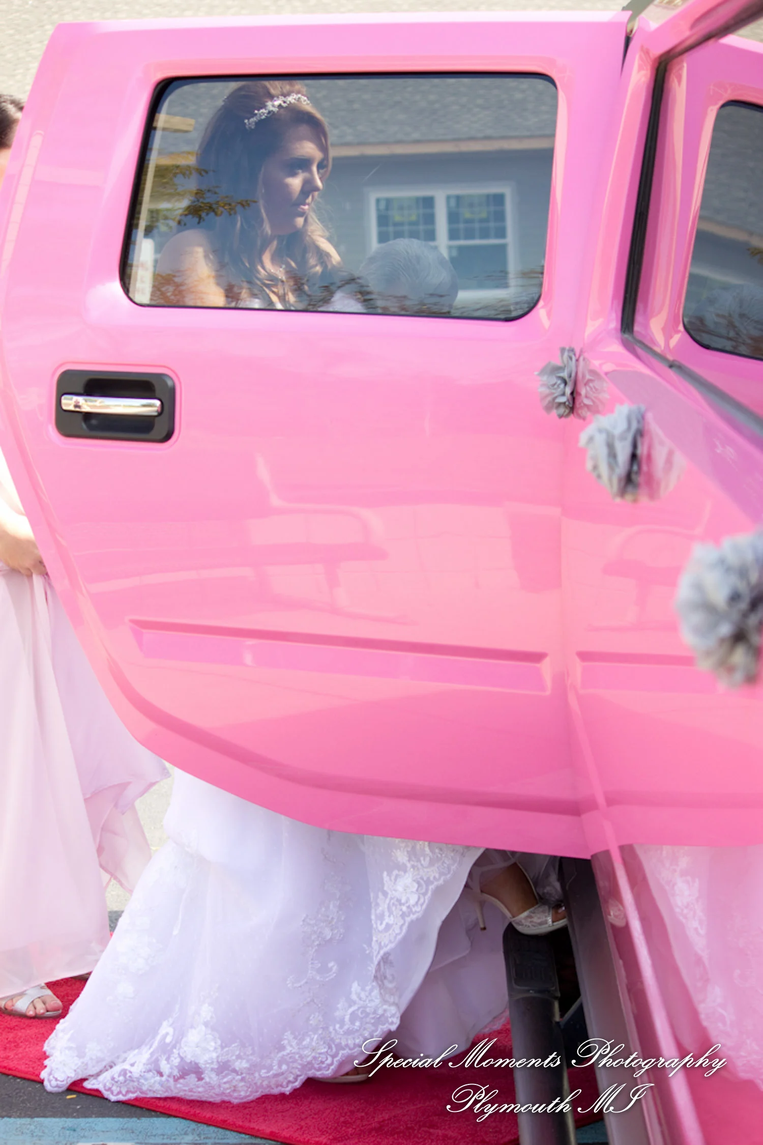 Mill Creek Park Dexter MI wedding photograph