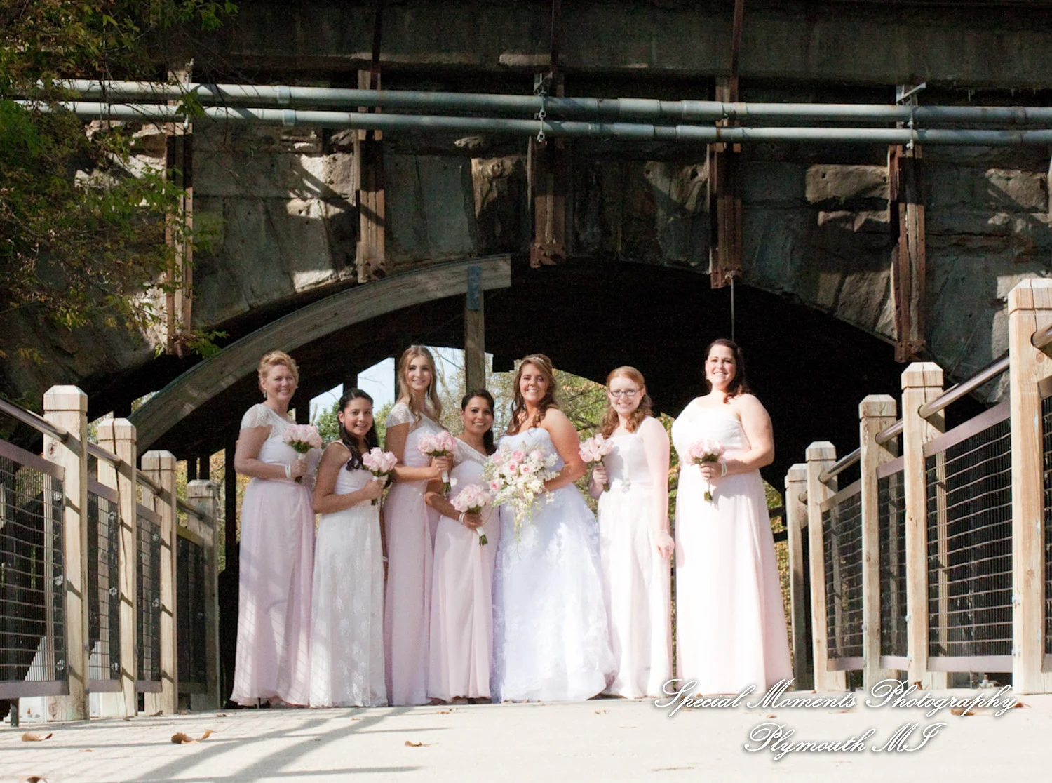 Mill Creek Park Dexter MI wedding photograph