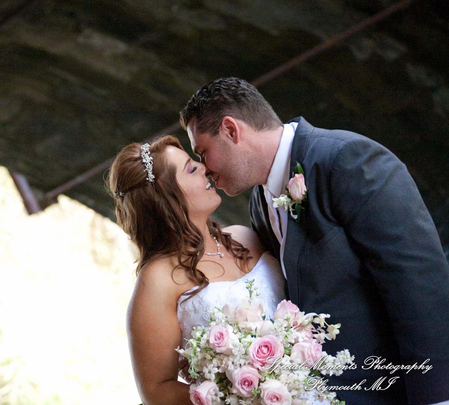 Mill Creek Park Dexter MI wedding photograph
