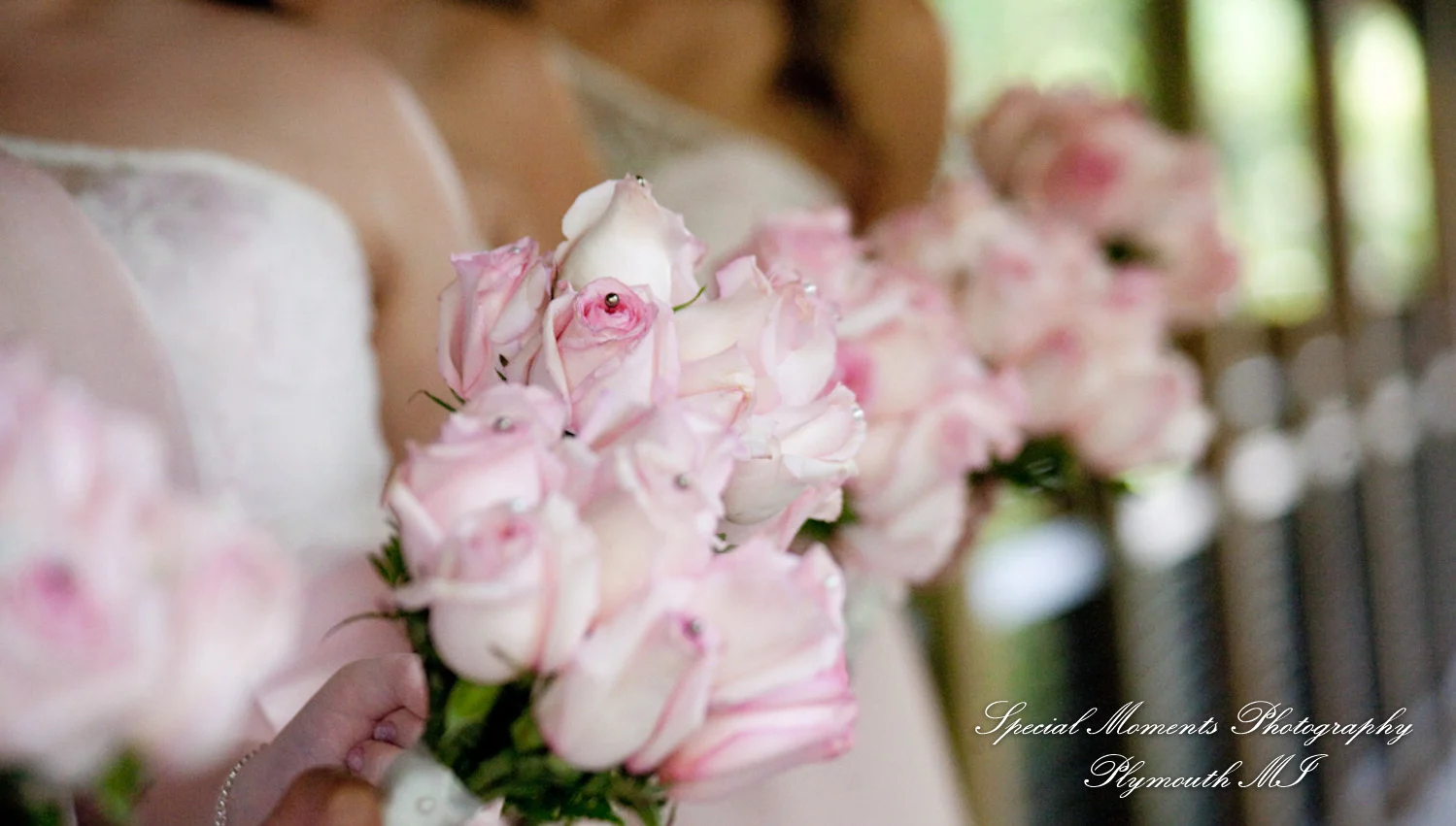 Mill Creek Park Dexter MI wedding photograph