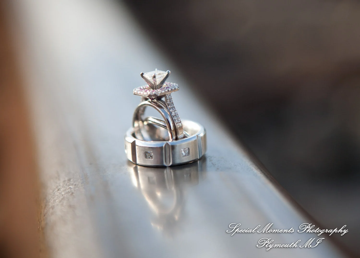 Mill Creek Park Dexter MI wedding photograph