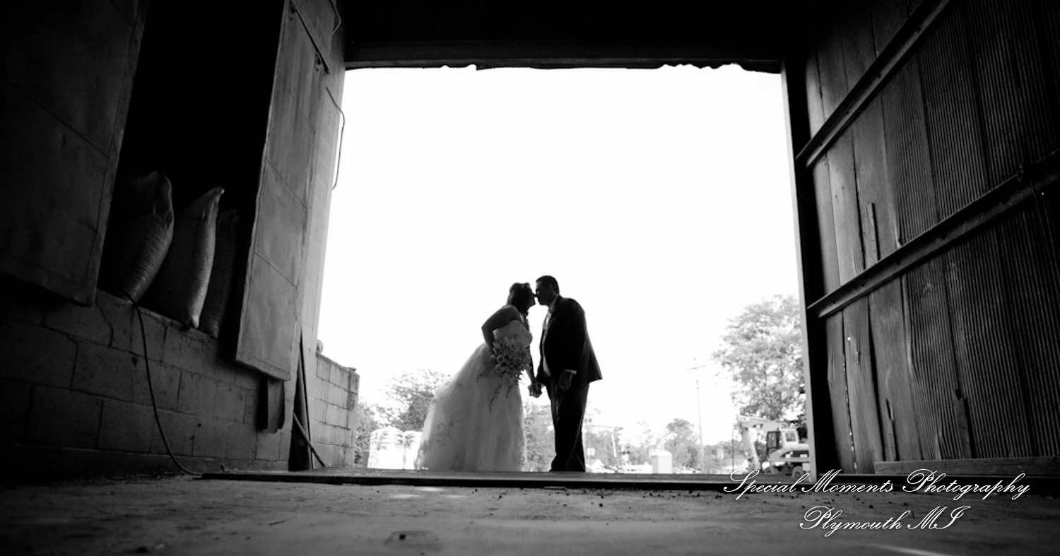 Mill Creek Park Dexter MI wedding photograph