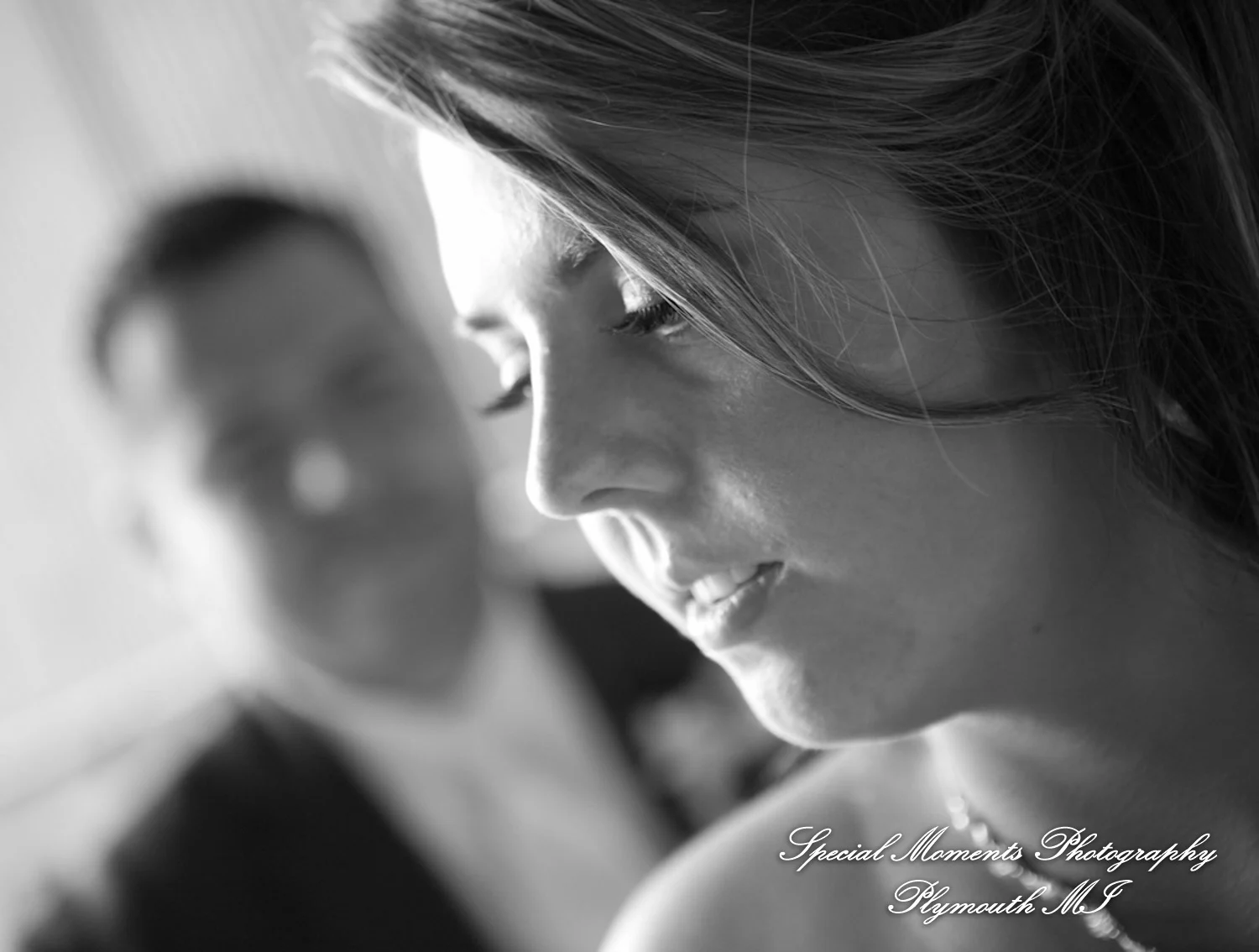 Mill Creek Park Dexter MI wedding photograph