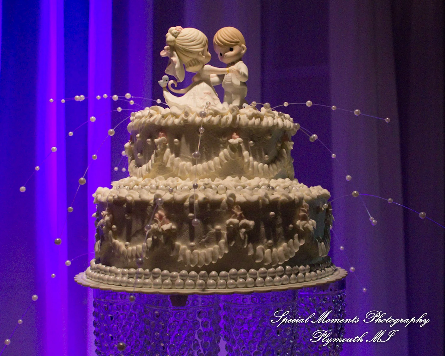 Knights of Columbus Dexter MI wedding photograph