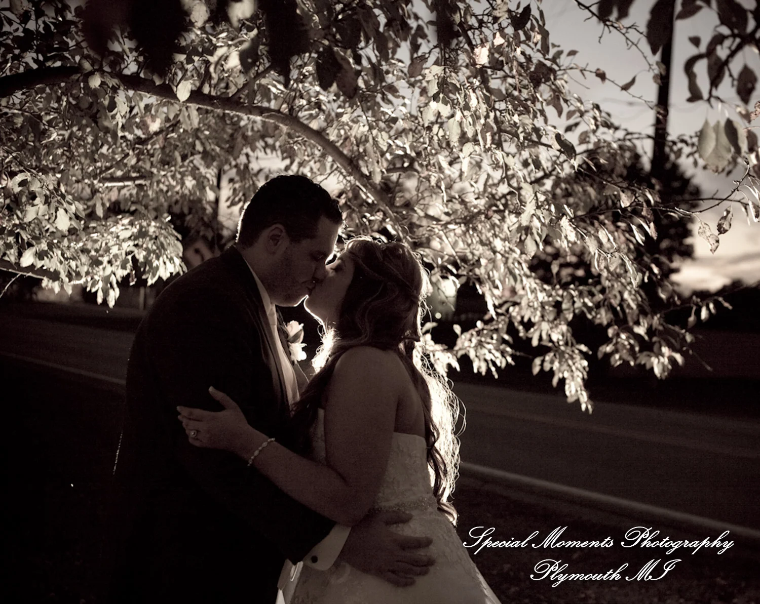 Knights of Columbus Dexter MI wedding photograph
