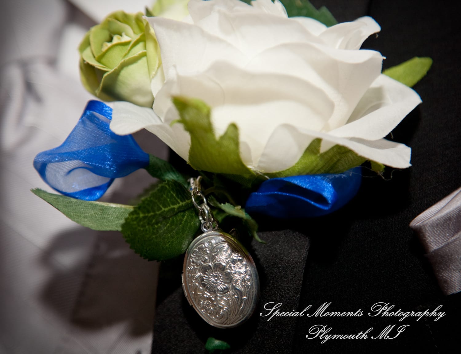 Crystal Gardens Howell MI wedding photograph