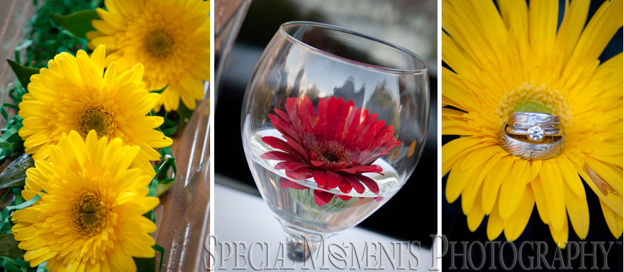 Matthaei Botanical Gardens - Ann Arbor wedding photography