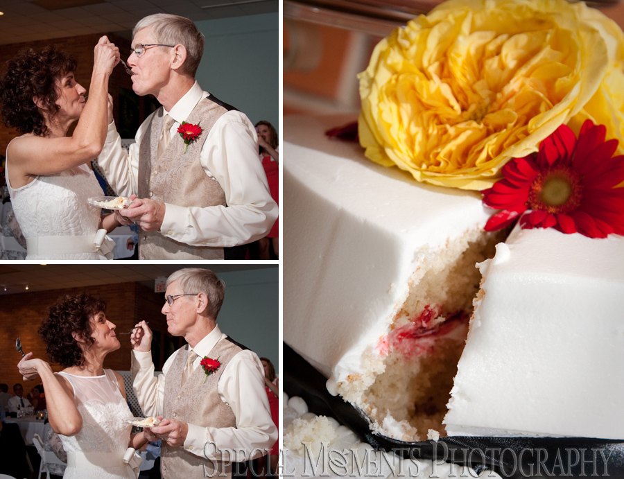 Matthaei Botanical Gardens - Ann Arbor wedding photography