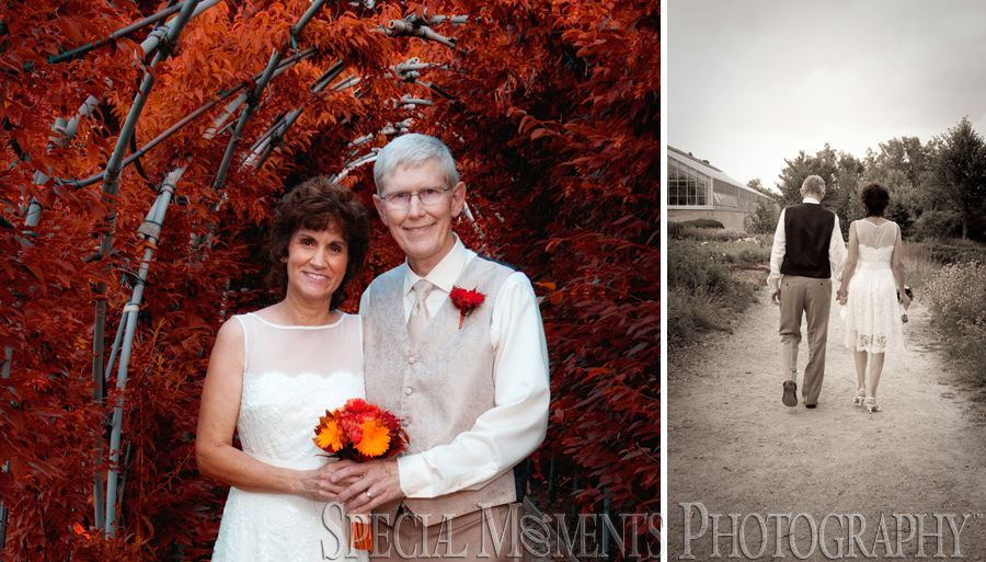 Matthaei Botanical Gardens - Ann Arbor wedding photography