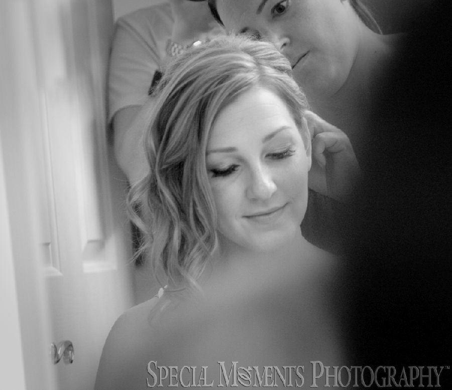 St. Aidan Livonia MI wedding photograph