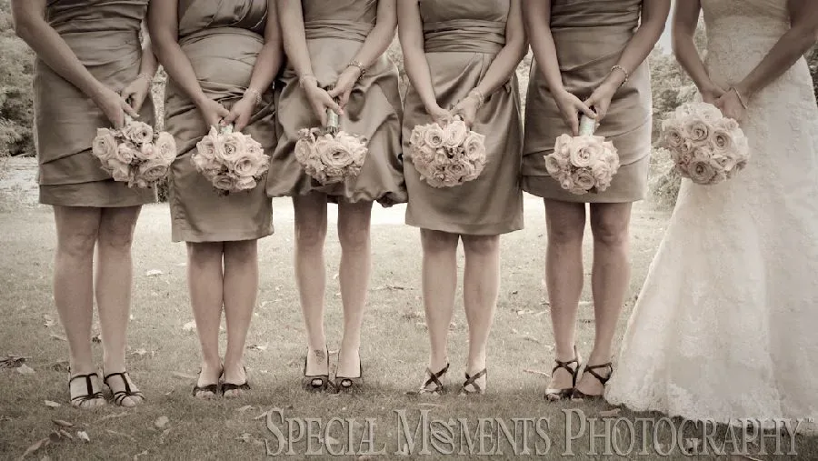 Downtown Plymouth MI wedding photograph