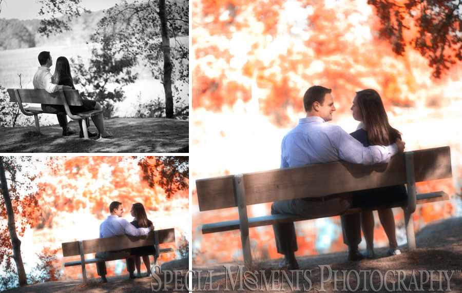 Kensington Metro Park Engagement photography