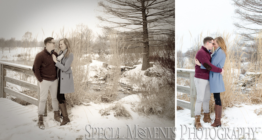 TOLLGATE EDUCATION CENTER & FARM Novi MI Engagement photography