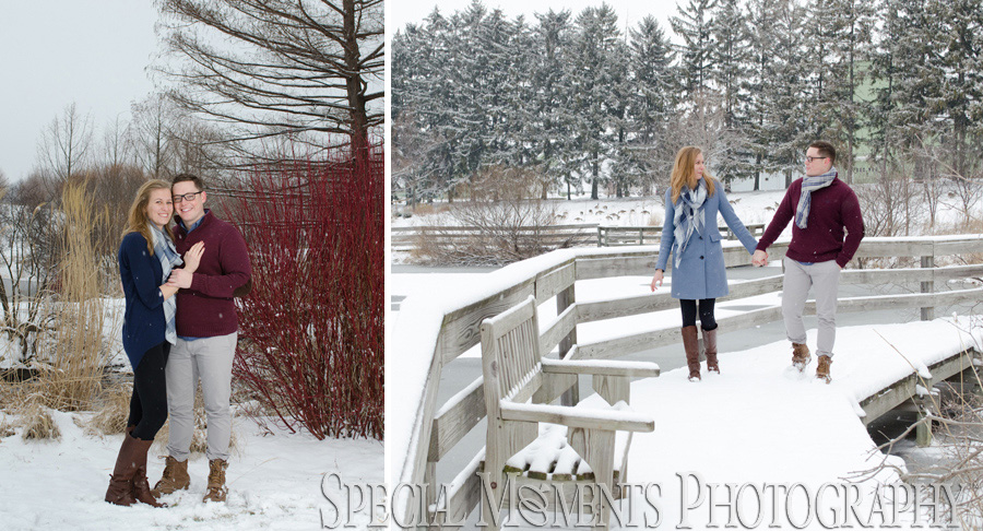 TOLLGATE EDUCATION CENTER & FARM Novi MI Engagement photography