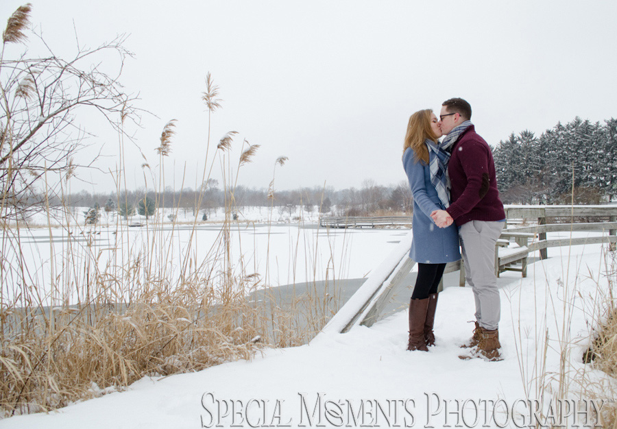 TOLLGATE EDUCATION CENTER & FARM Novi MI Engagement photography