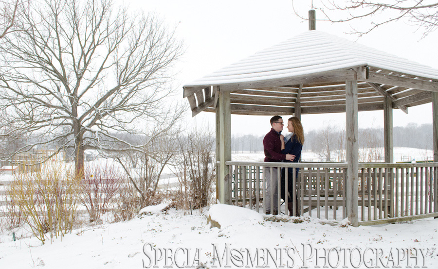 TOLLGATE EDUCATION CENTER & FARM Novi MI Engagement photography