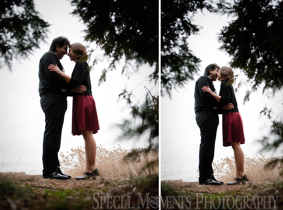 Long Park Commerce Twp. MI Engagement photography