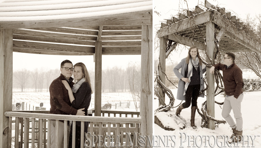 TOLLGATE EDUCATION CENTER & FARM Novi MI Engagement photography