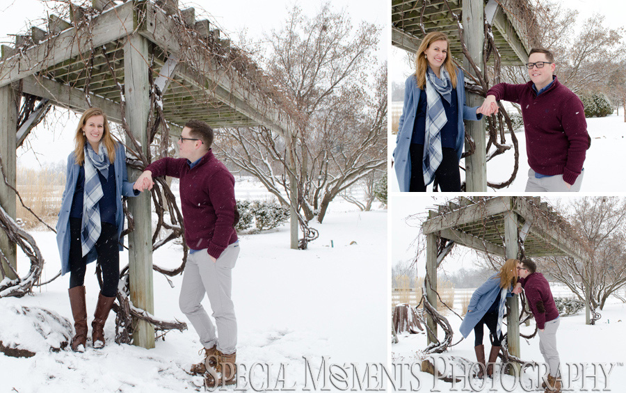 TOLLGATE EDUCATION CENTER & FARM Novi MI Engagement photography