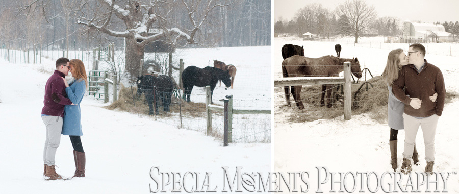 TOLLGATE EDUCATION CENTER & FARM Novi MI Engagement photography
