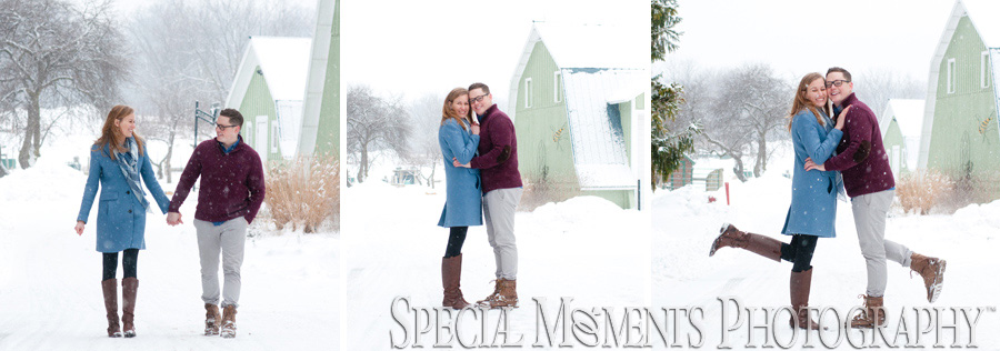 TOLLGATE EDUCATION CENTER & FARM Novi MI Engagement photography