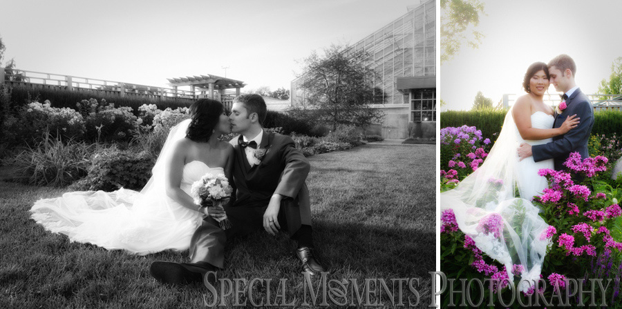 Matthaei Botanical Gardens Ann Arbor wedding photography