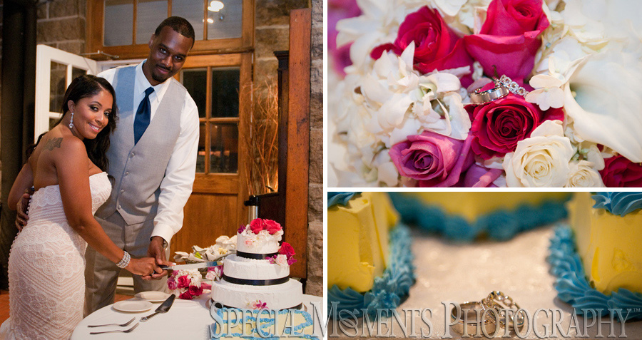 Wellers Carriage House Saline wedding photography