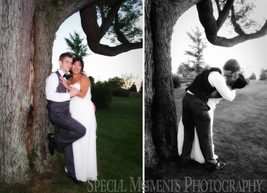 Matthaei Botanical Gardens Ann Arbor wedding photography