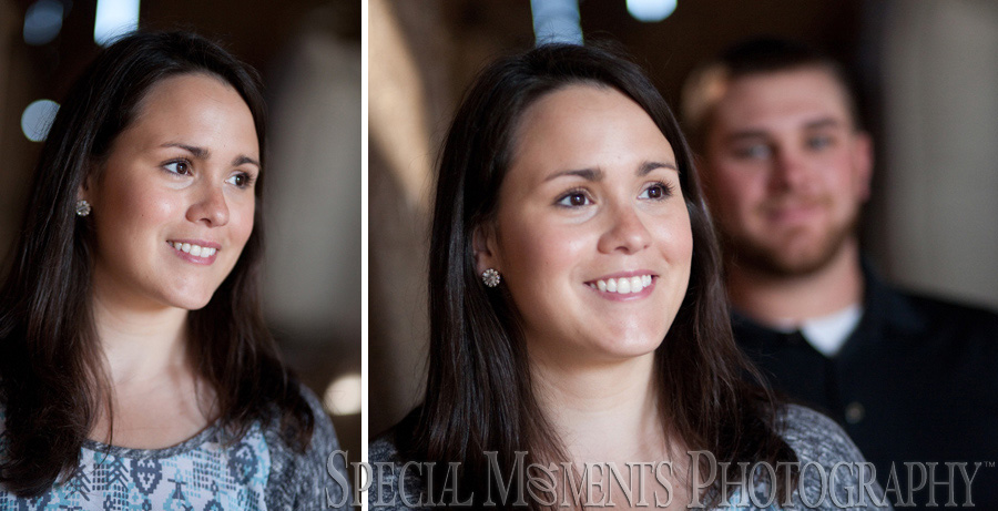 Saline MI Farm Wedding Engagement photograph